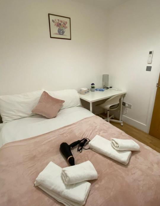 Cosy Private Rooms Near Euston Station, Central London Luaran gambar
